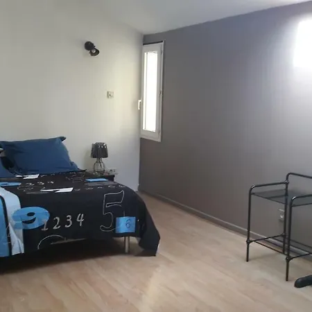 아파트 Duplex Centre Ville 알레스